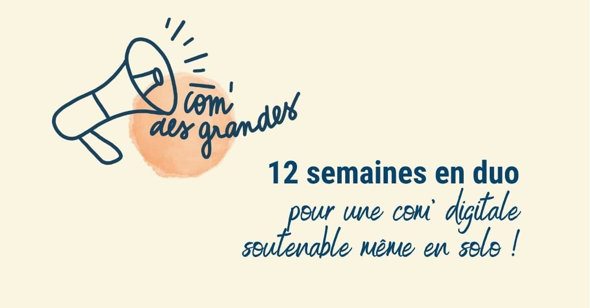 Com' des Grandes, le programme d'accompagnement de Frédérique Assael, communication digitale durable pour les pros sans budget pour déléguer